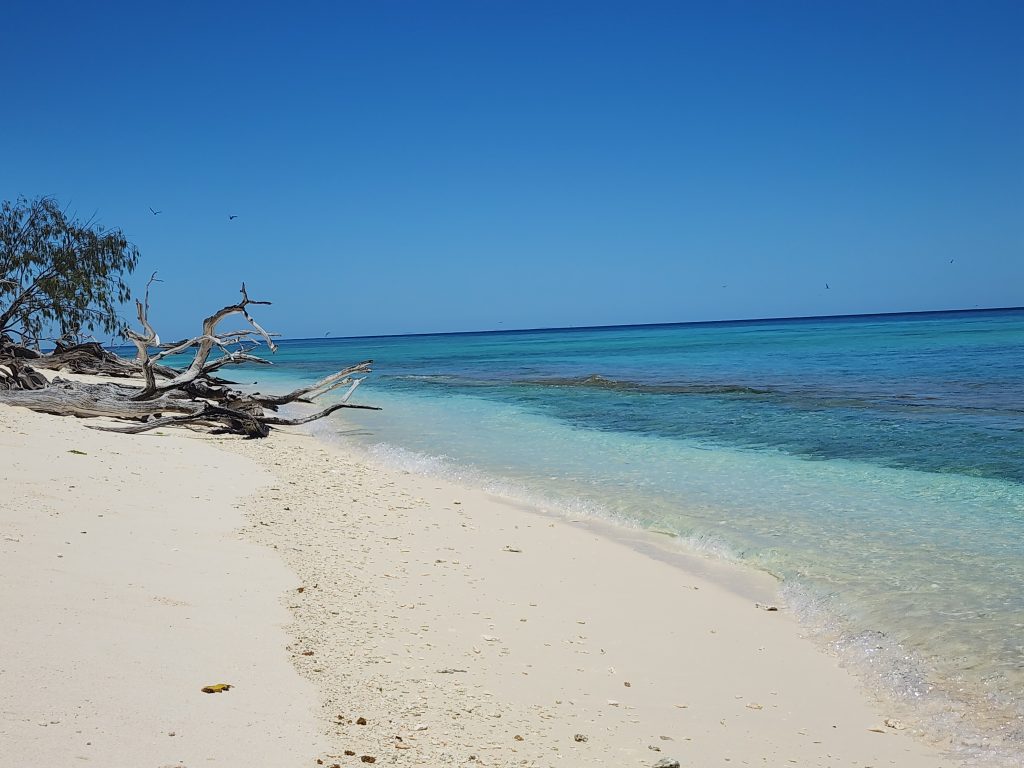 Lady Musgrave Island